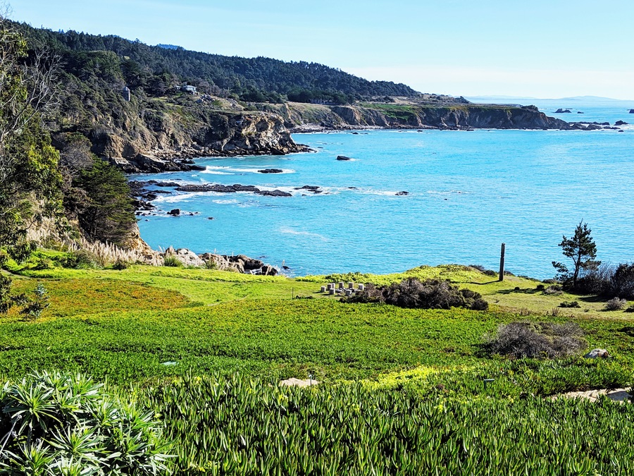 Timber Cove on California Coast in winter with green ice plant and calm blue sea