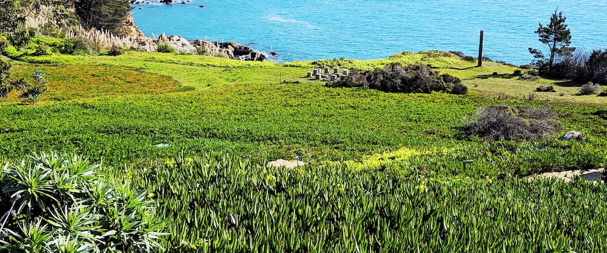 A coastal landscape with green fields, rocky cliffs, and a clear blue sea.