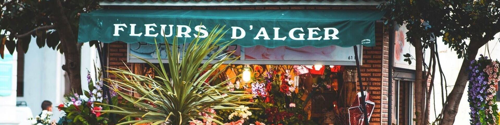 #fleurs_d'alger
#algiers