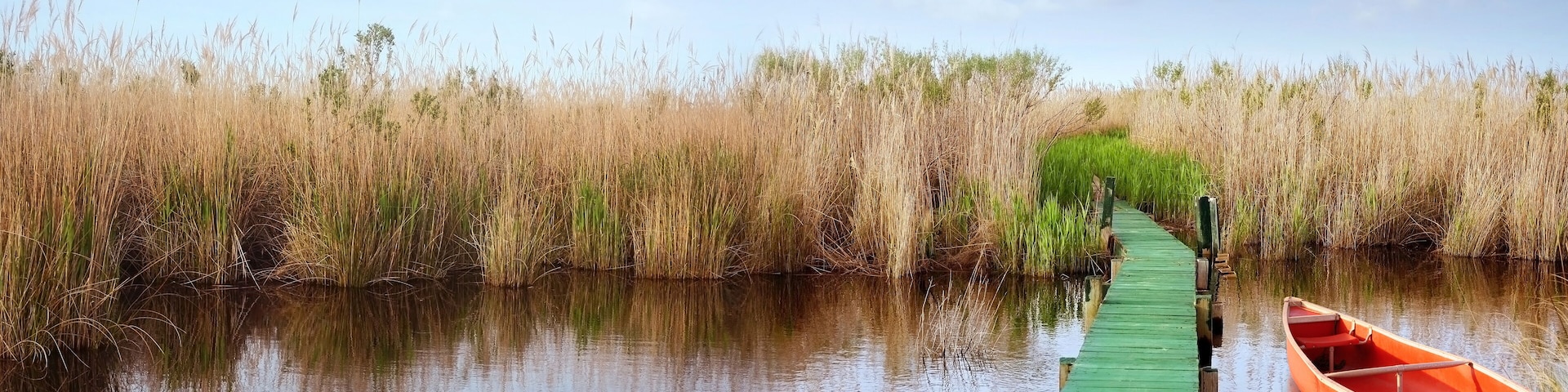 Marshlands and Canoe of Currituck, North Carolina, USA. The lake shore and forest in spring season. Soft blurry background.