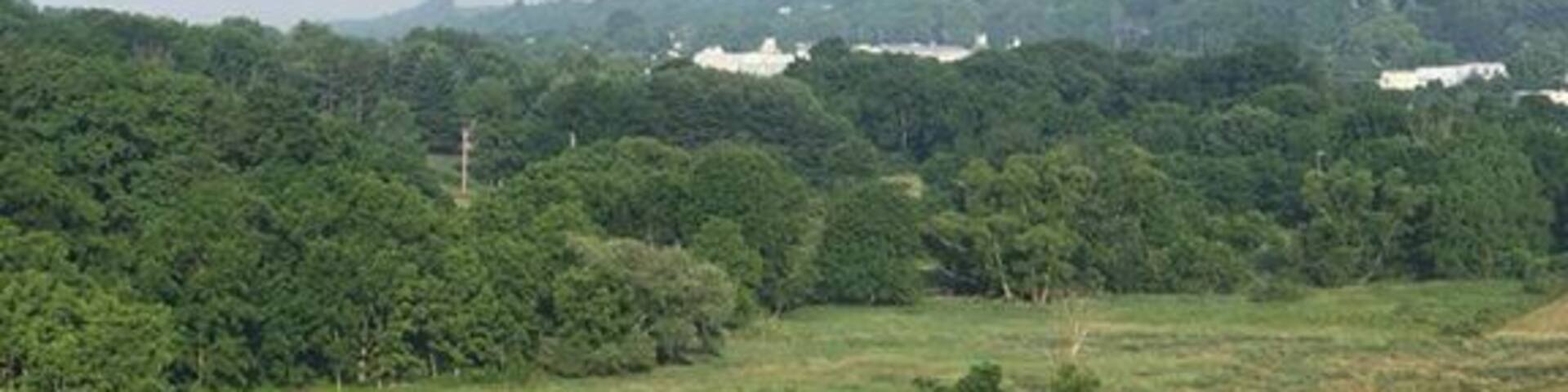 Early morning hot air balloon ride