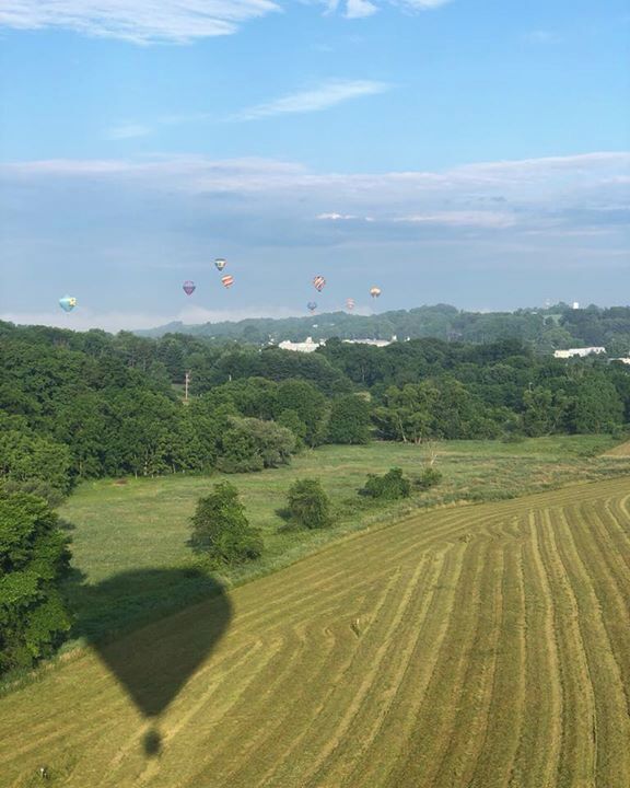 A landscape with a field of crops and several hot air balloons in the sky.