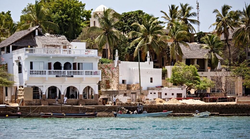 View of Shela town in Lamu island, old white houses in Lamu, Kenya