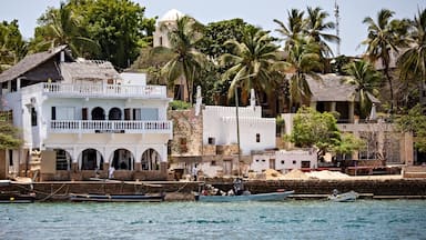View of Shela town in Lamu island, old white houses in Lamu, Kenya