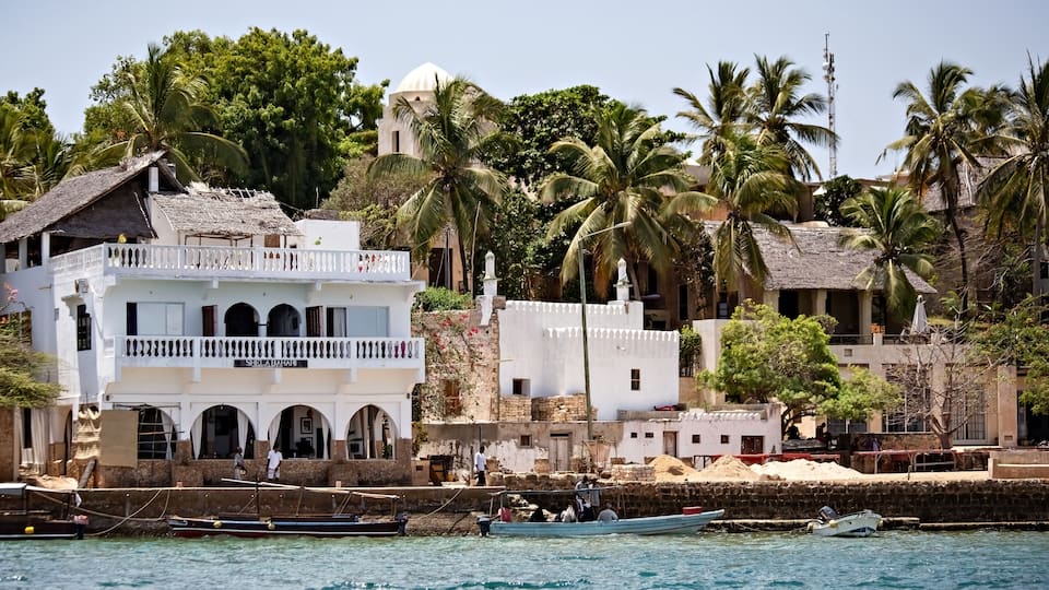 A coastal town with white buildings, palm trees, and boats on the water.