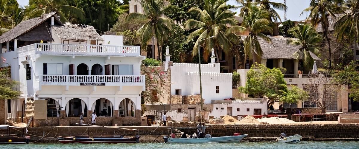 A coastal town with white buildings, palm trees, and boats on the water.