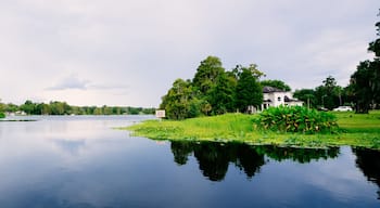 Hillsborough river at Tampa, Florida