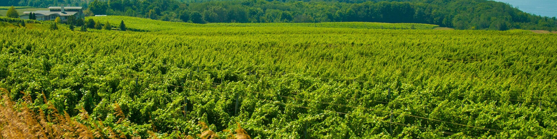 Old Mission Peninsula, Michigan
