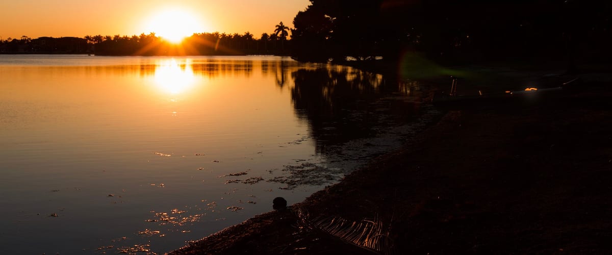 A sunset over a calm lake with palm trees silhouetted against the sky.