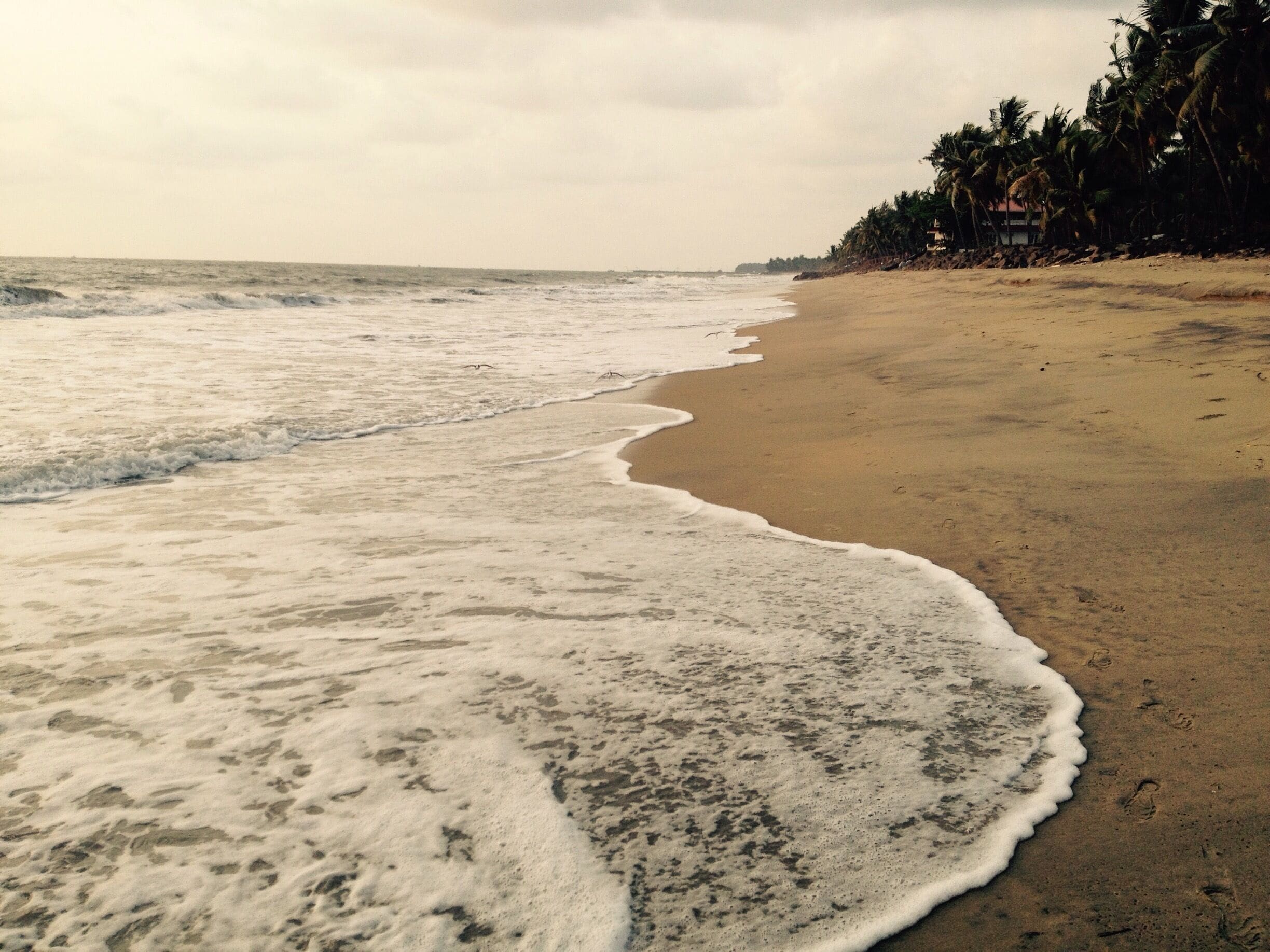 Cherai beach cochin 
