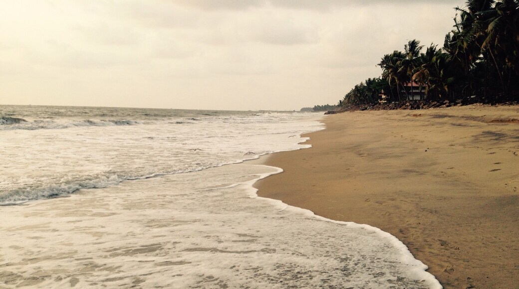 Cherai beach cochin