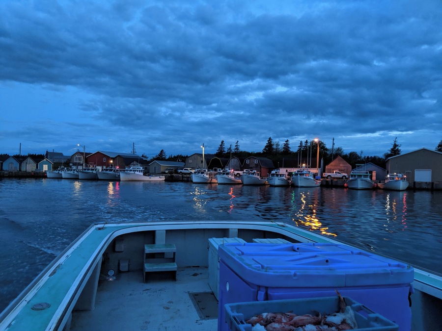 Heading out lobster fishing