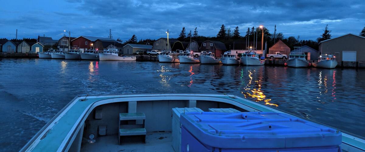 A harbor at dusk with boats docked, buildings, and a cloudy sky.