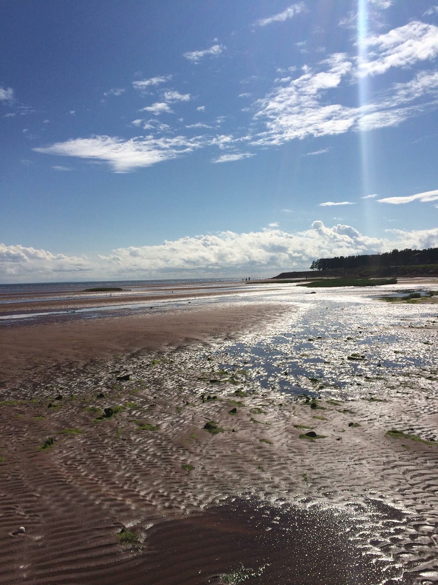 Royal quality sand in Princeton PEI
