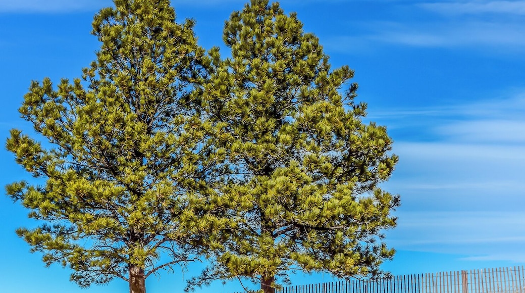 County Line by Woodmoor and Parker Lake Colorado. Beautiful county side to enjoy.