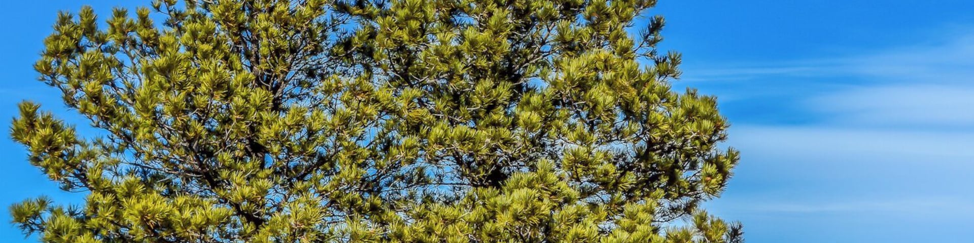 County Line by Woodmoor and Parker Lake Colorado. Beautiful county side to enjoy.