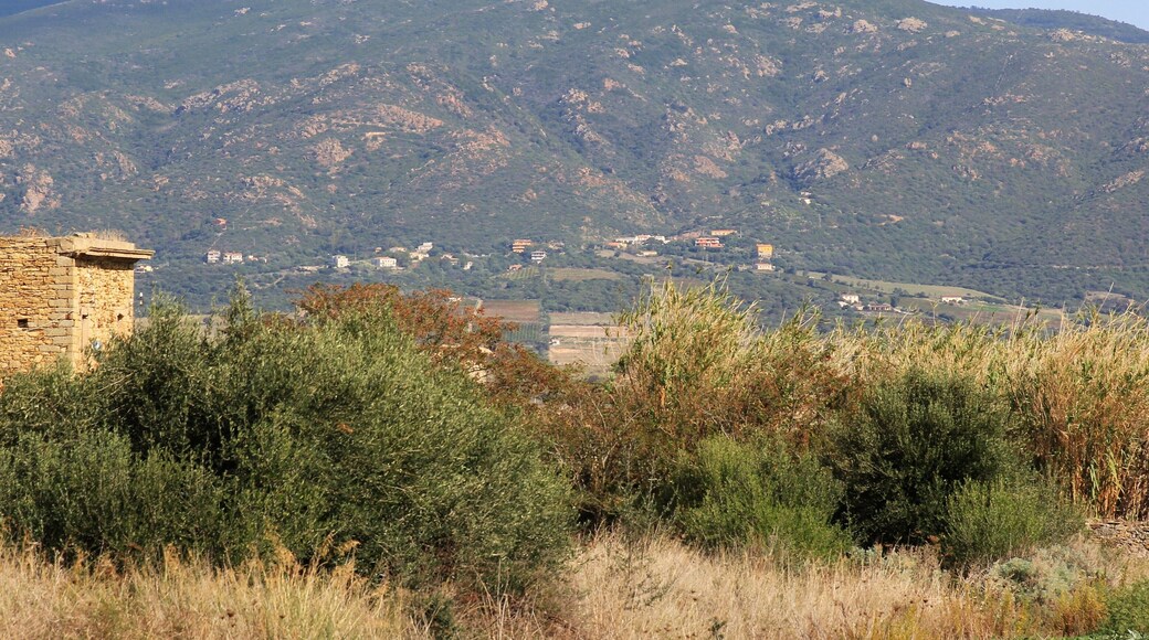 Viddalba, frazione L'Azzagulta