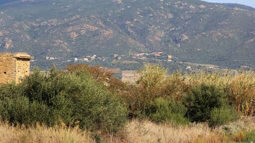 Viddalba, frazione L'Azzagulta