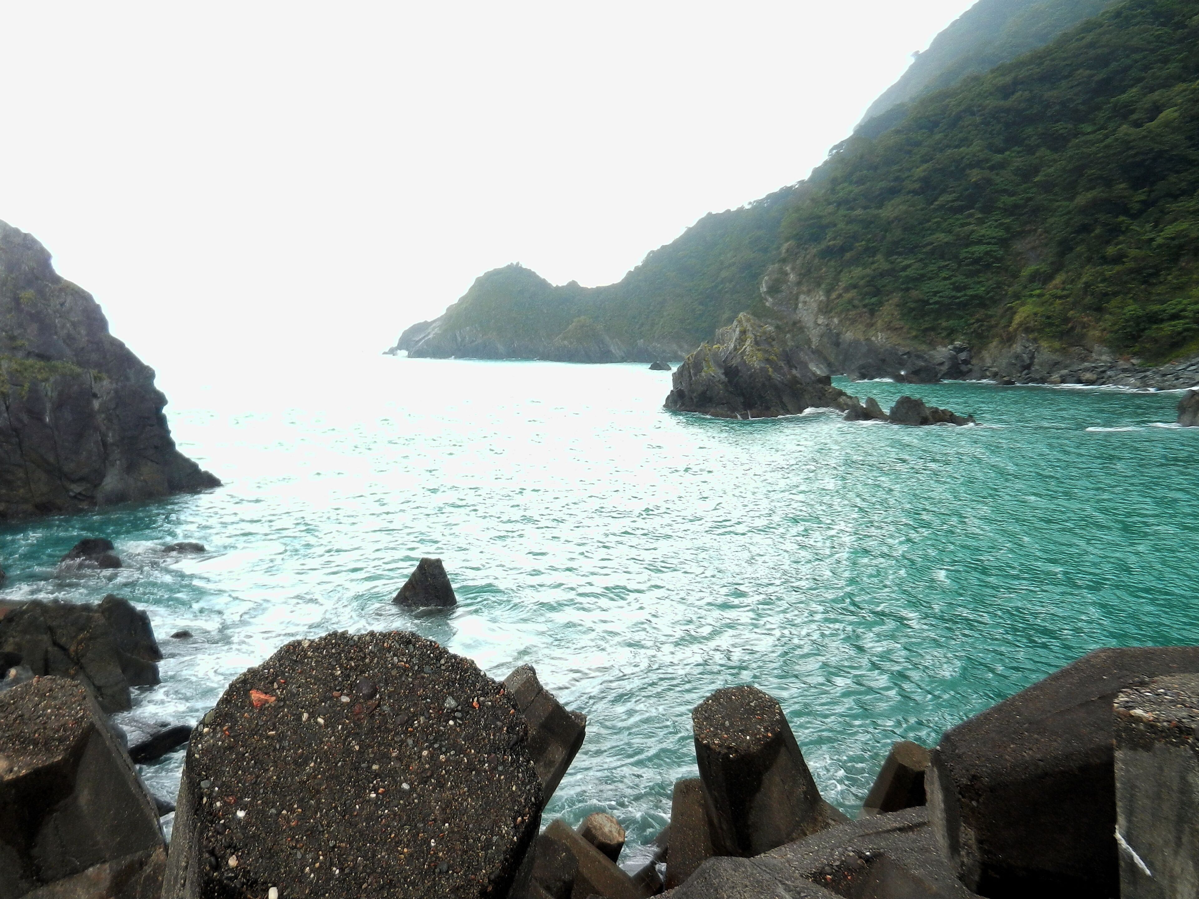 Fenniaolin 粉鳥林