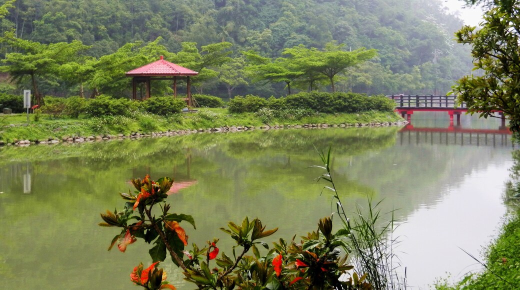 Wanglongpi Lake 望龍埤