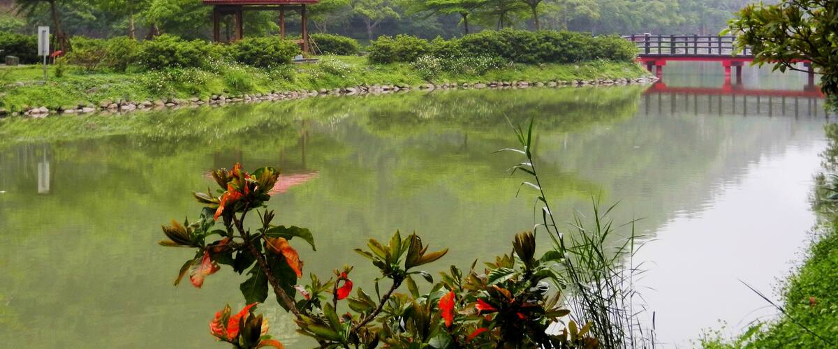 Wanglongpi Lake 望龍埤
