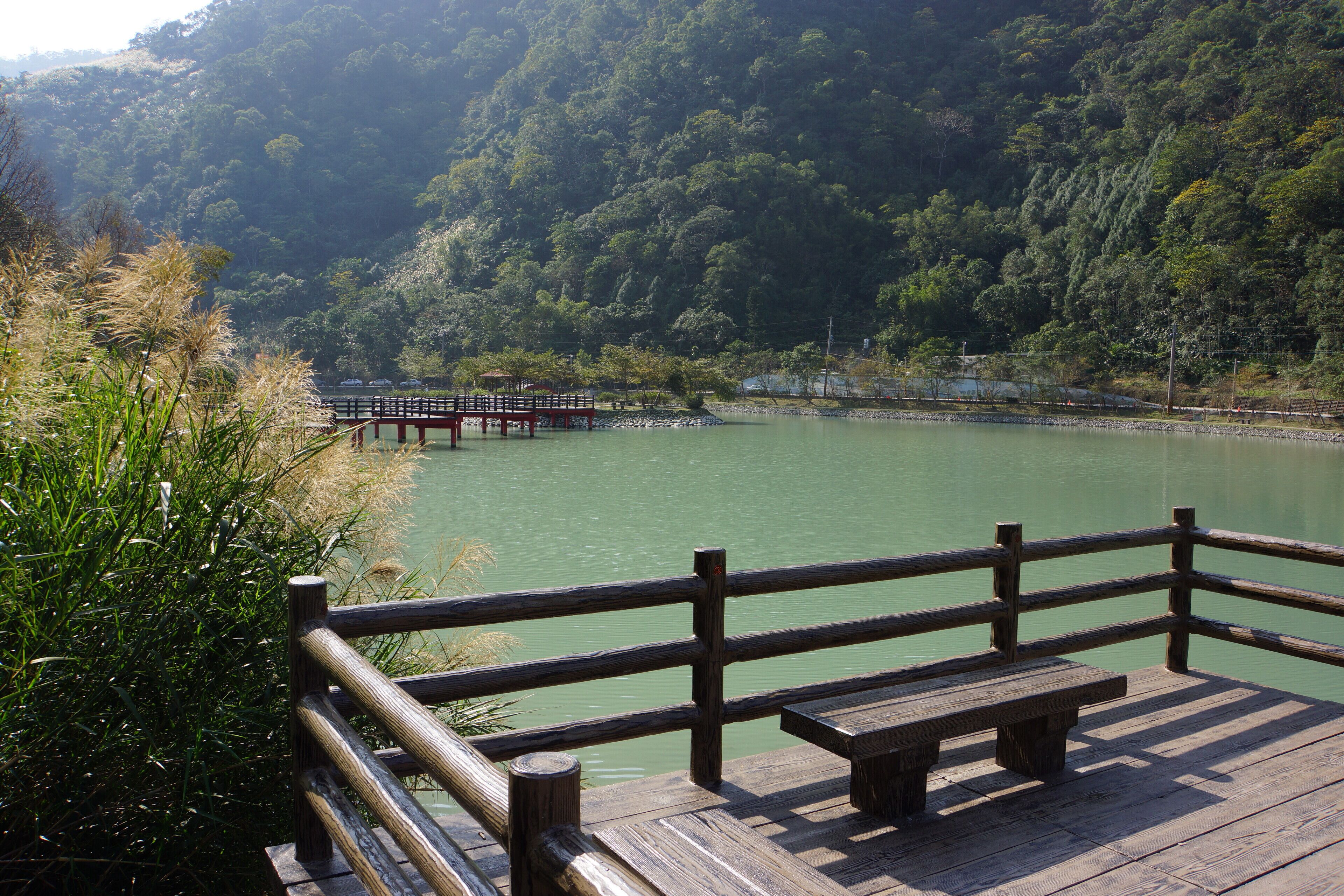 A wooden dock with a bench overlooking a calm lake surrounded by dense forest.