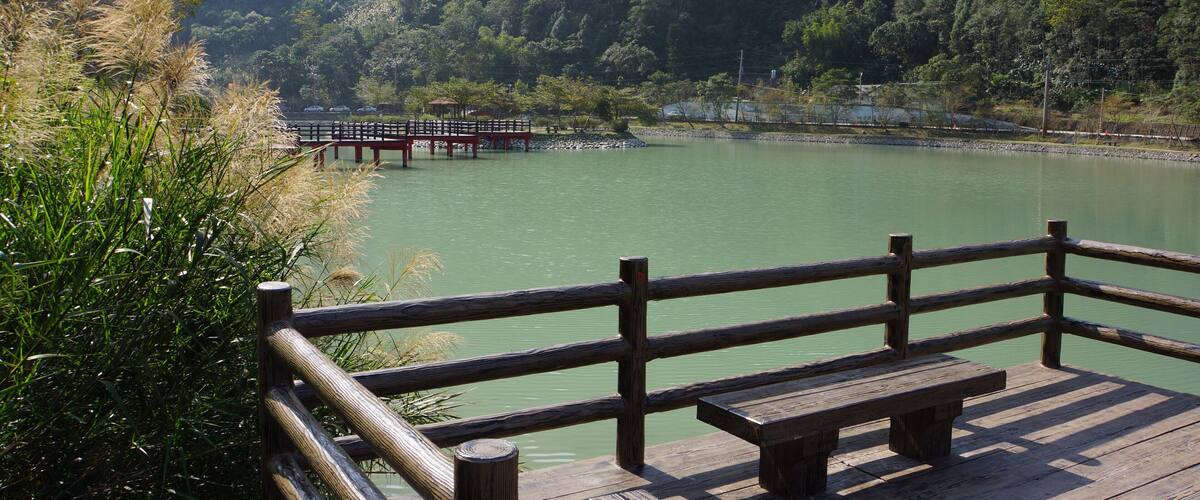 A wooden dock with a bench overlooking a calm lake surrounded by dense forest.