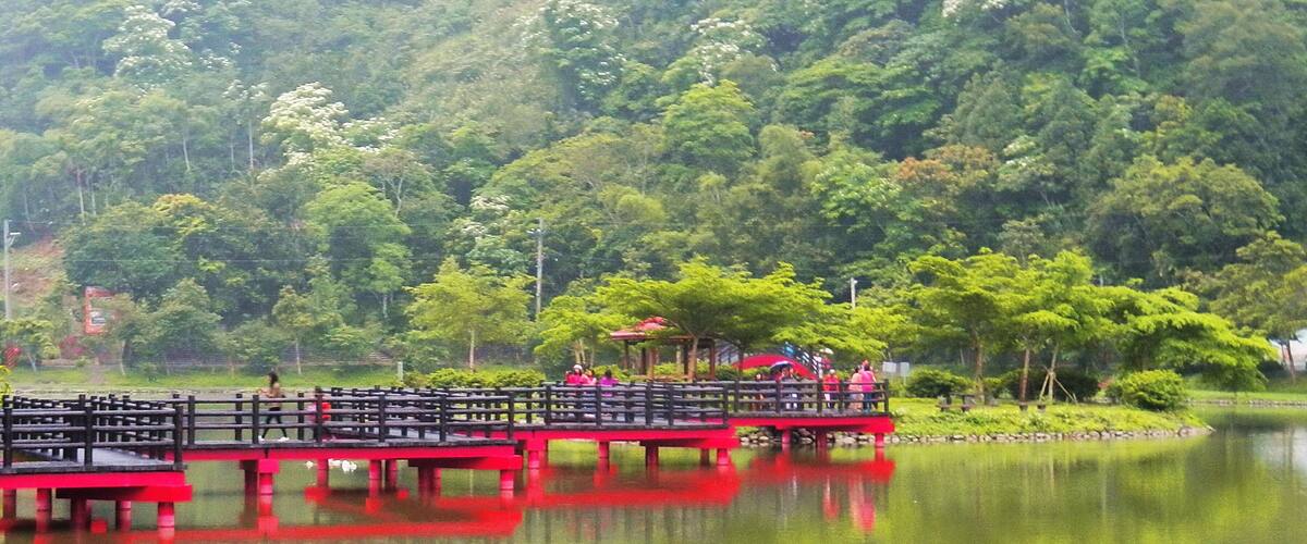 Wang Long Lake 望龍埤