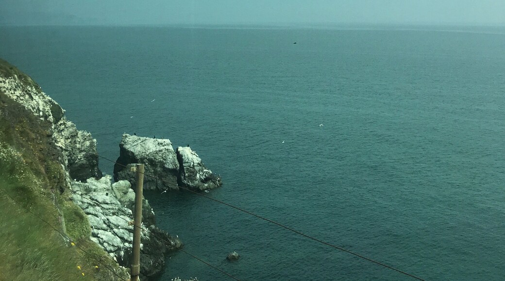 While taking a picturesque train ride from Greystones back into Dublin, I was thinking how pretty the Brayhead white cliffs are until I realized they're just covered in bird poo.