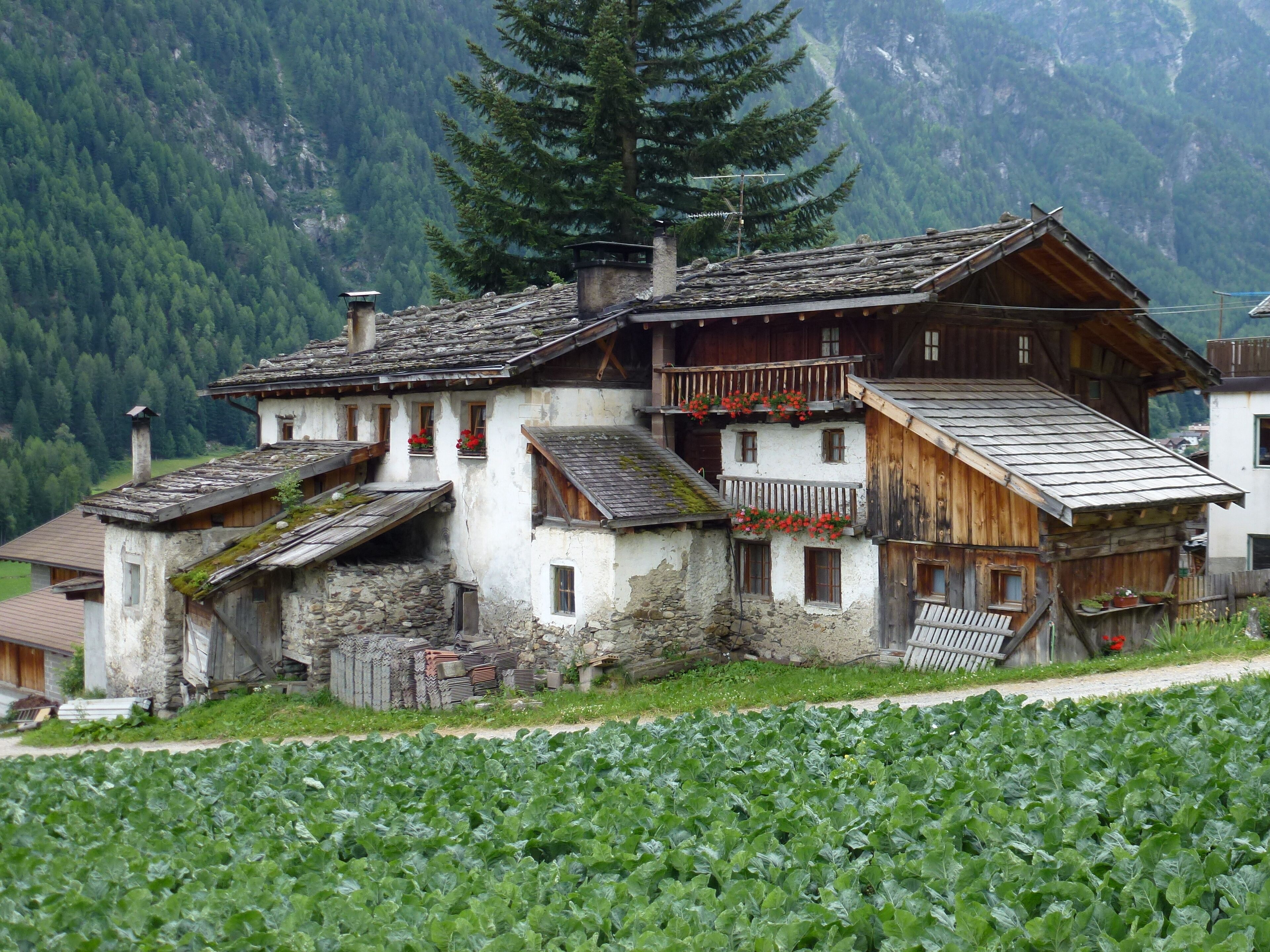 A traditional wooden house with a sloped roof, surrounded by lush greenery and mountains in the background.