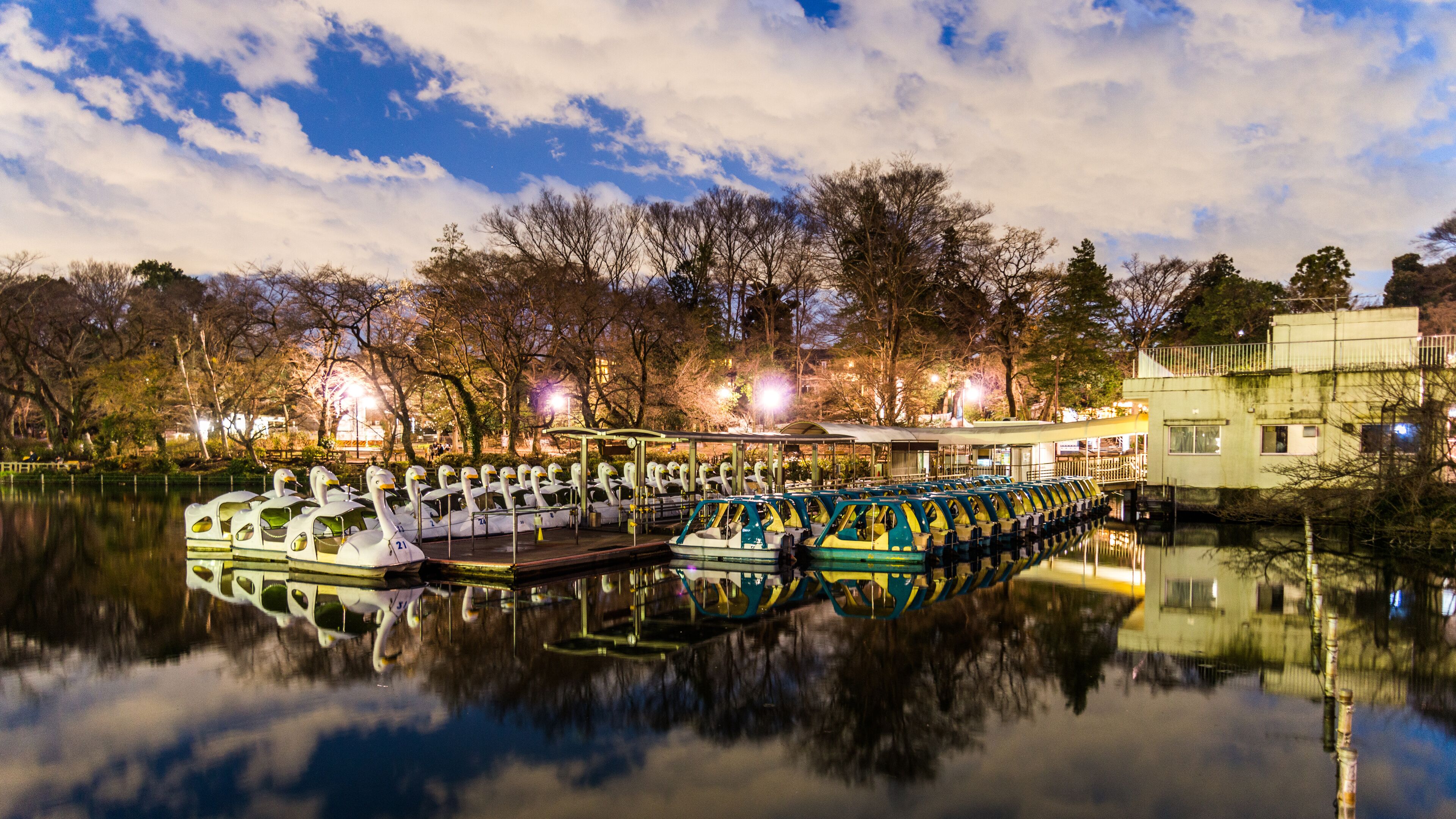 Inokashira Park - Japan