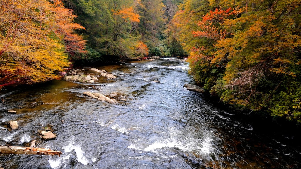 Autumn on an appalachian river
