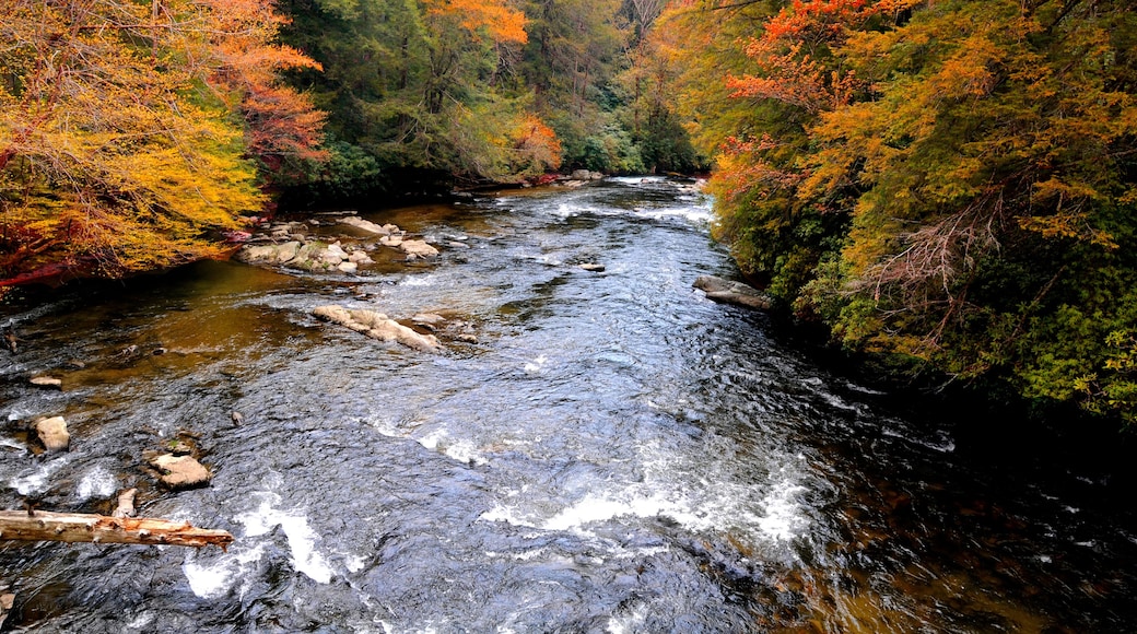 Autumn on an appalachian river