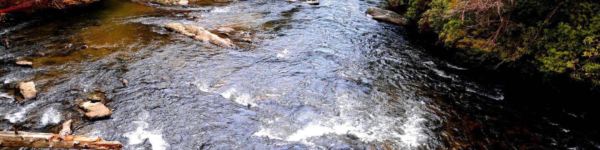 Autumn on an appalachian river