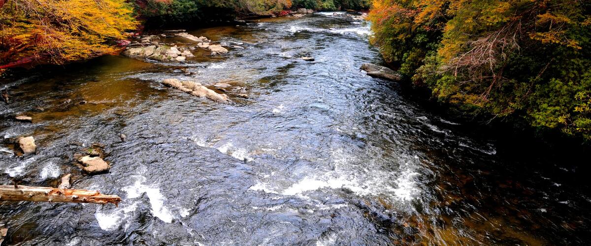 A river flowing through a forest with autumn-colored trees.