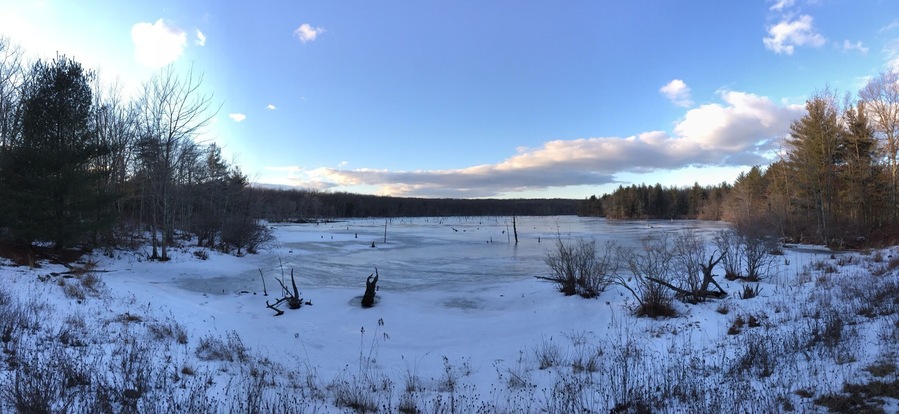 Ice