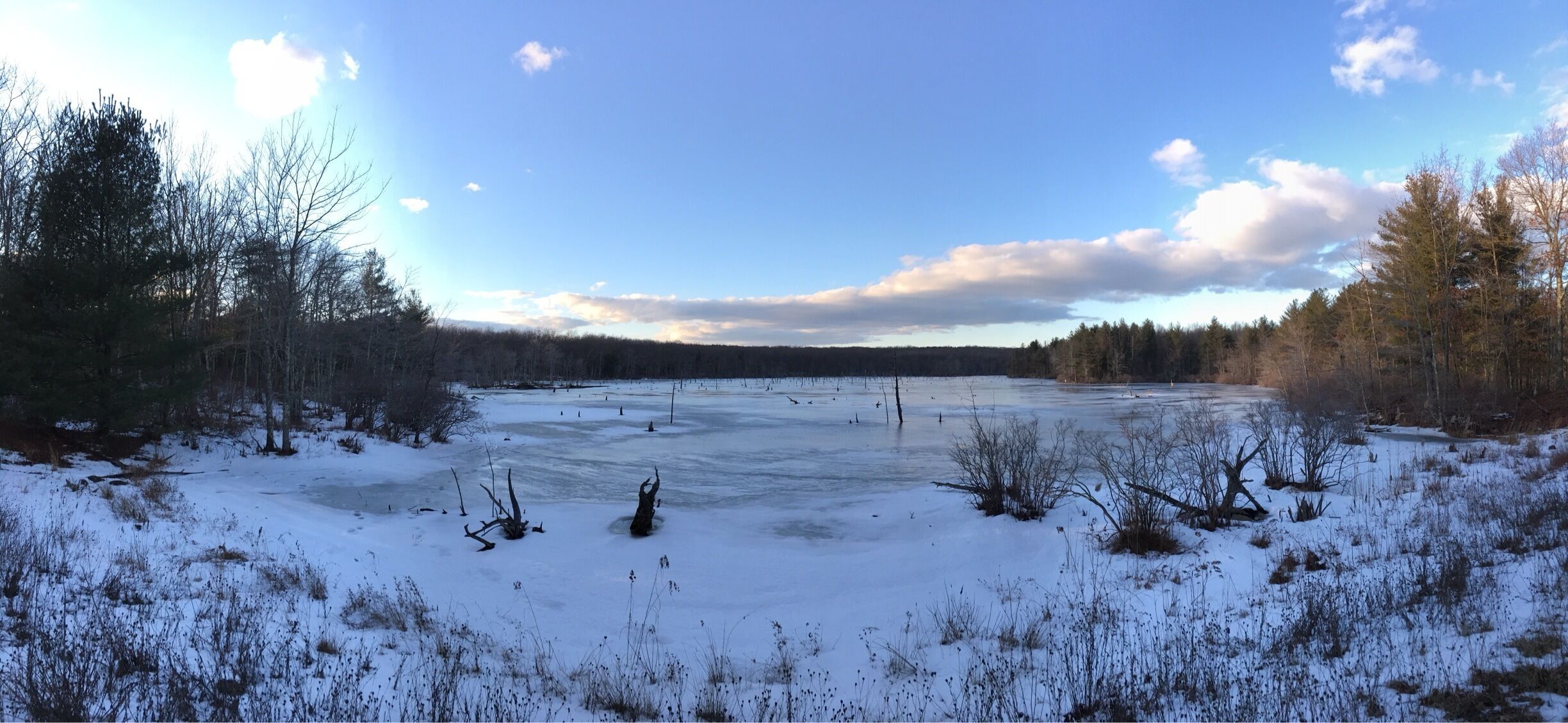 A frozen lake surrounded by trees and snow-covered ground.
