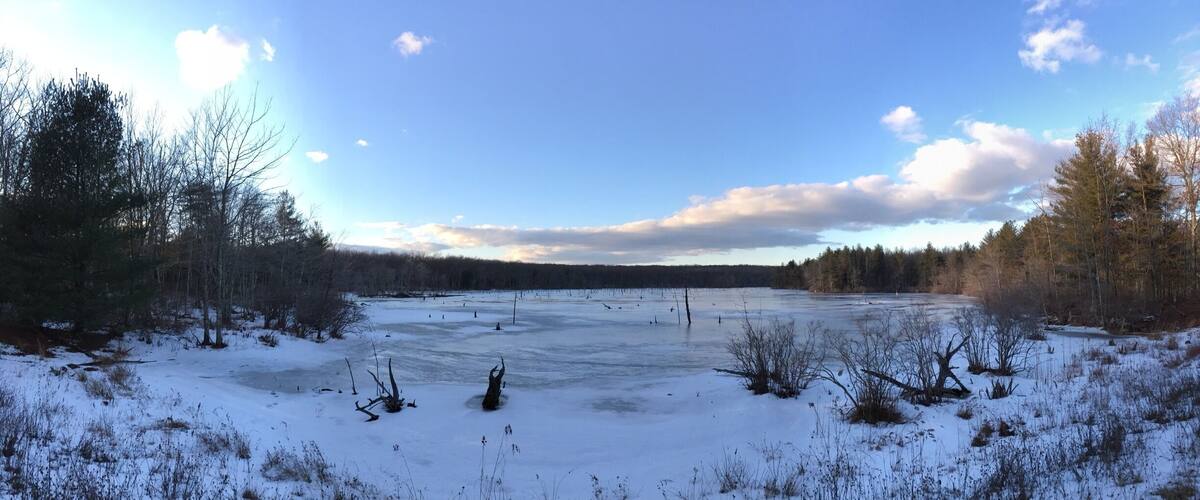 A frozen lake surrounded by trees and snow-covered ground.