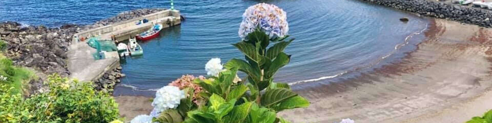 Escena costera con barcos amarrados en un muelle, una playa de arena y abundante vegetación.