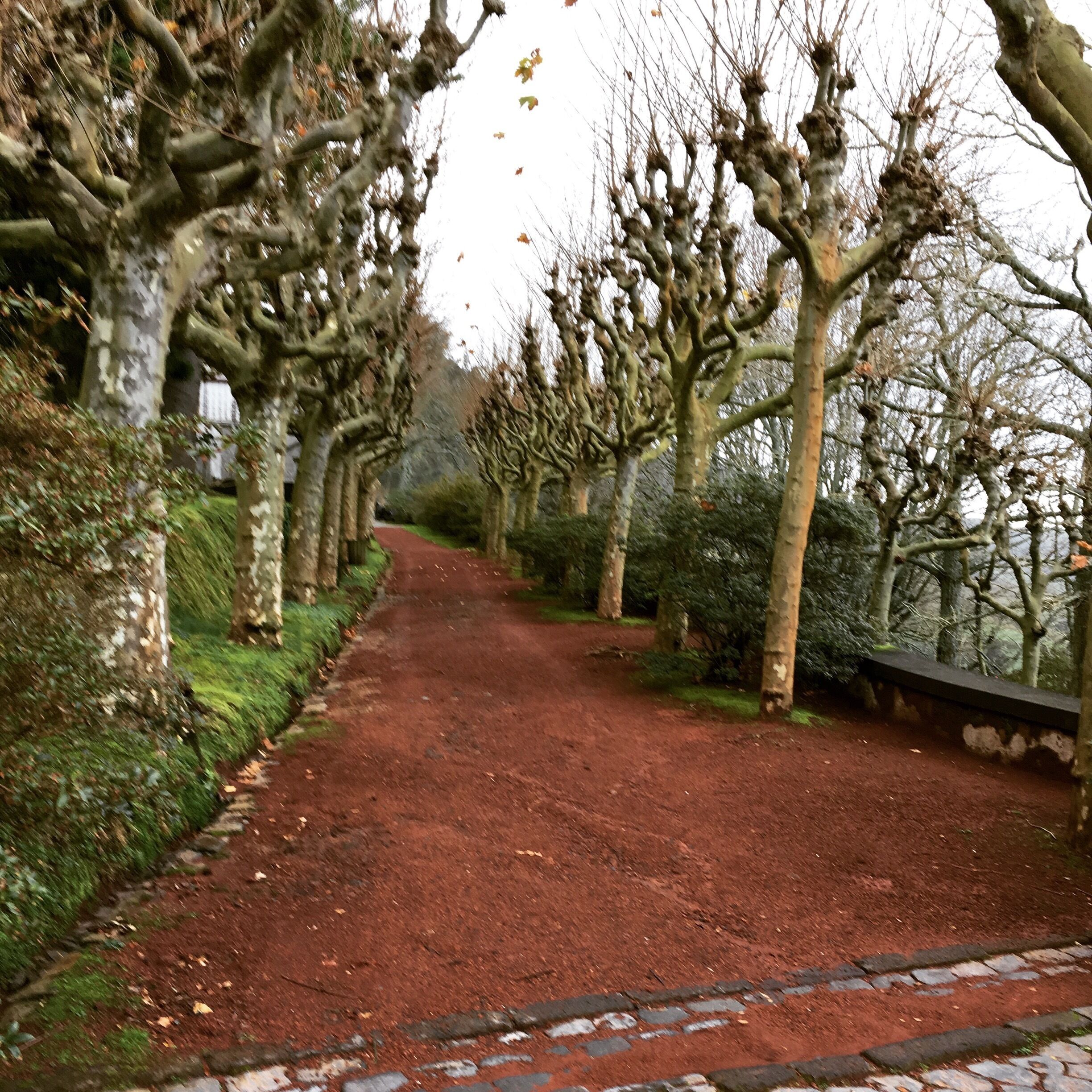 Entry to the plantation