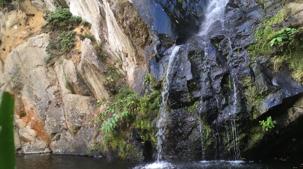 Wonderful garden. Ticket £6 per adult.