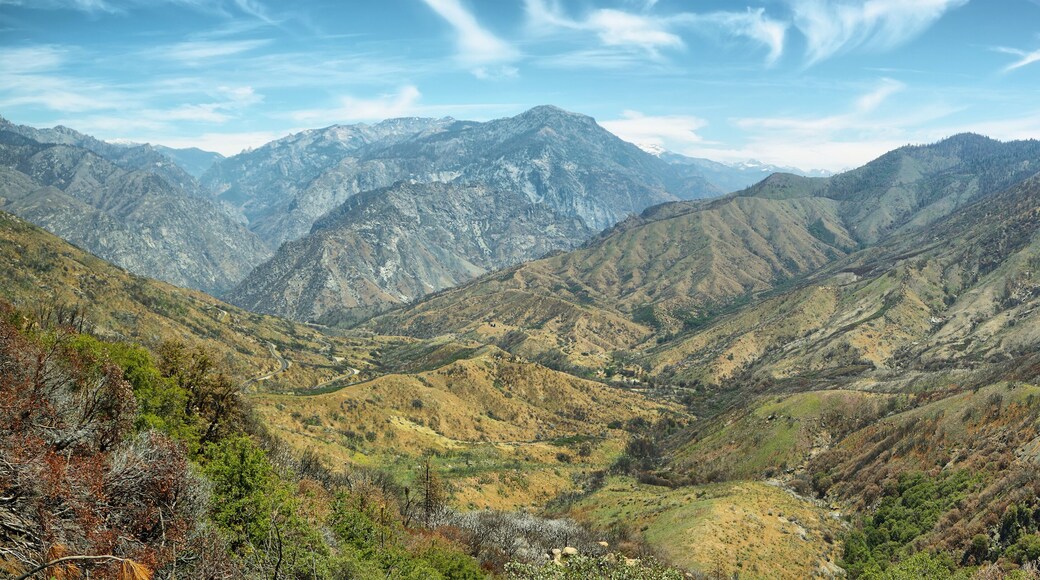Kings Canyon National Park, California.