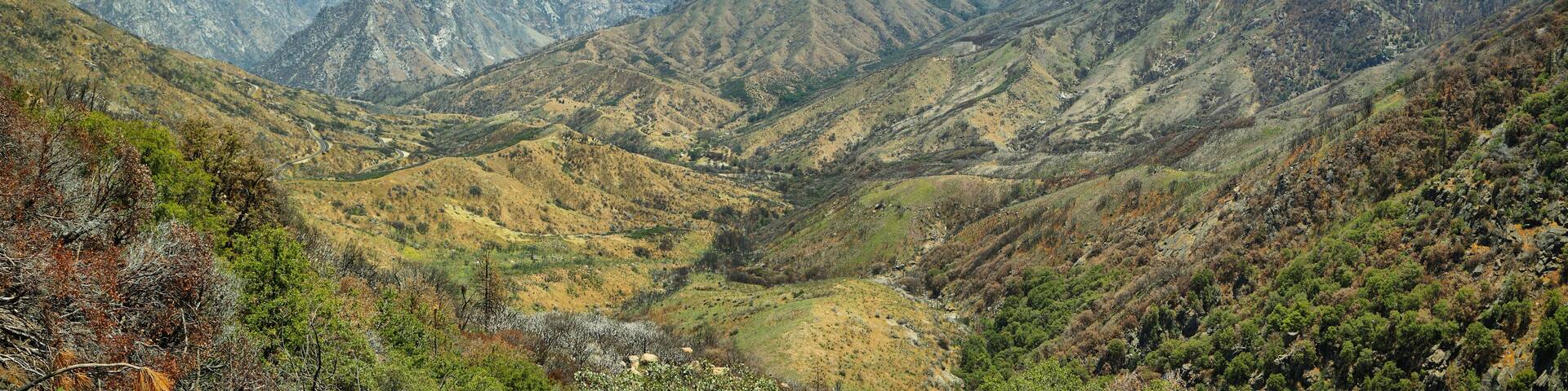 Kings Canyon National Park, California.