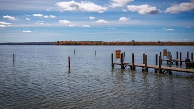 Burt Lake Docks