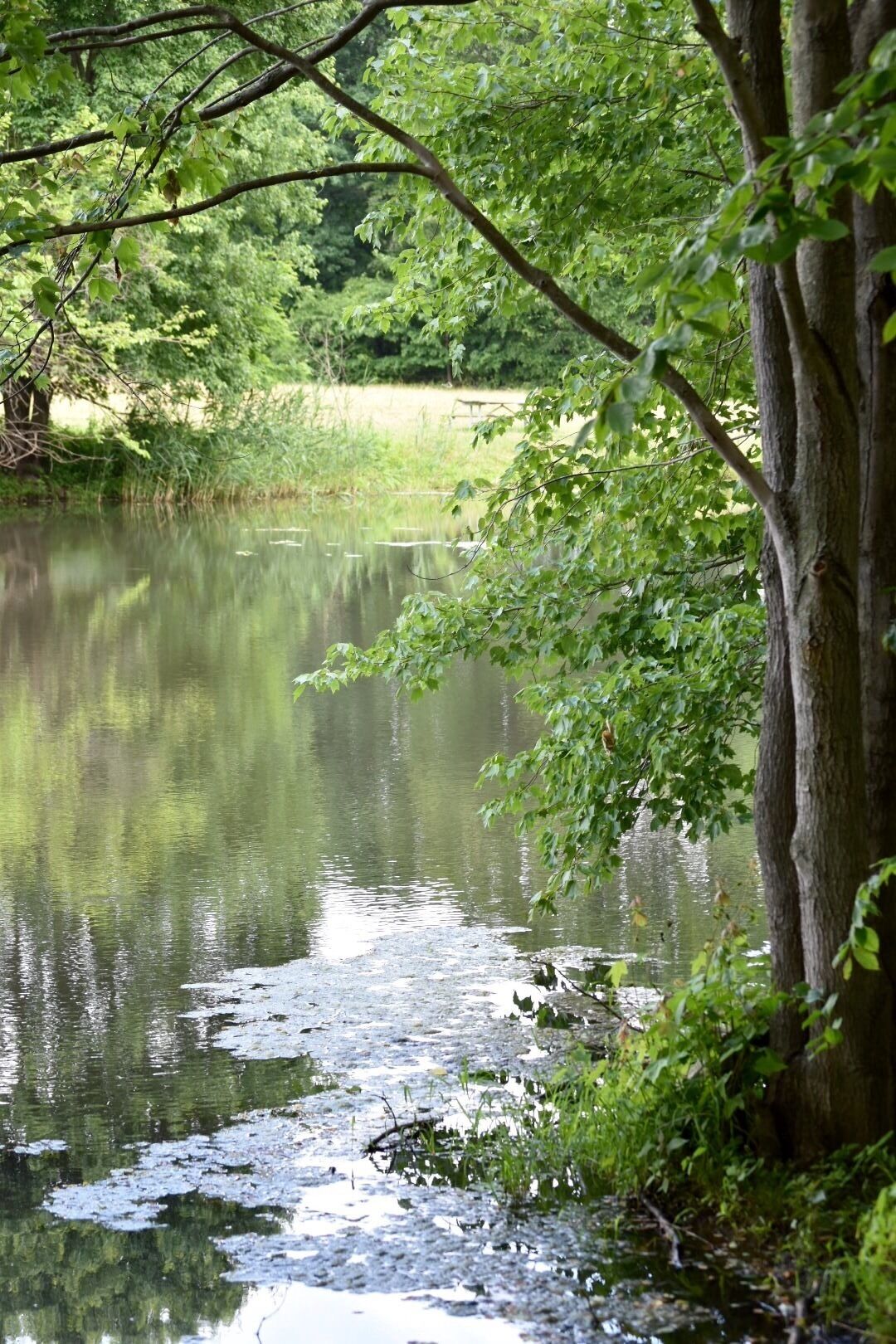 Rustic 443 acre park includes rolling farmland  and wooded trails. Enjoyed by mountain bikers, equestrians & walkers. I easy trail and 3 moderate trails 