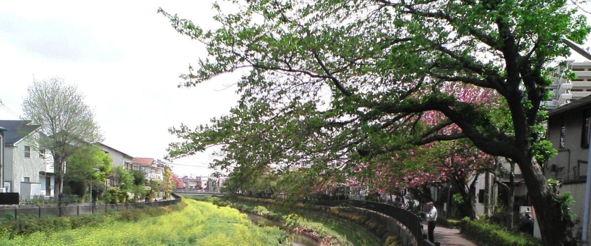 20070419_D1000004_1600