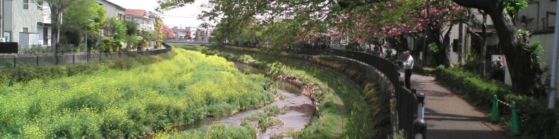 20070419_D1000004_1600