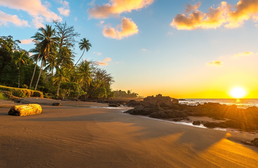 Una playa con palmeras y rocas durante el atardecer.