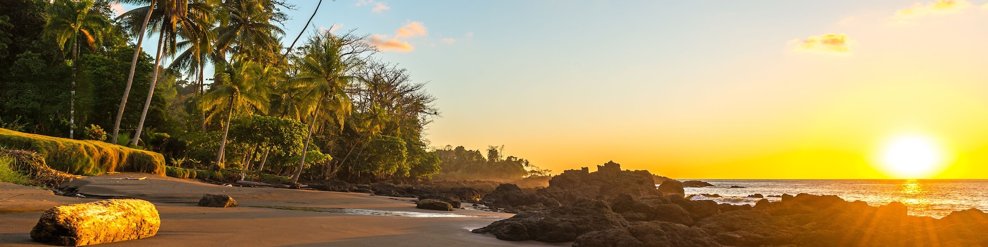 Una playa con palmeras y rocas durante el atardecer.