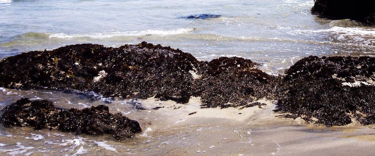 A rocky shoreline with waves crashing onto the beach.